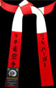 Special Panel: Red & White Master Panel Belt with Solid Back