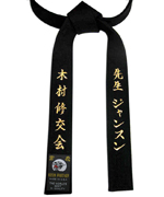Black Belt with Metallic Gold Embroidery