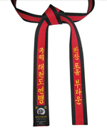 Tae Kwon Do Master Belt
